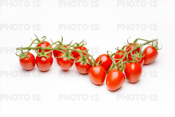 Mini Cherry Tomatoes