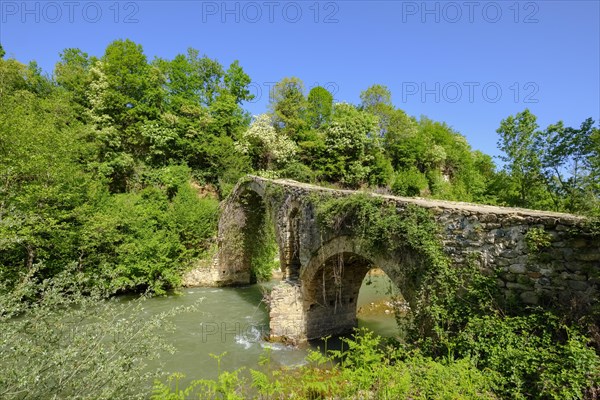 Old Ottoman stone arch bridge Ura e Golikut over river Shkumbin