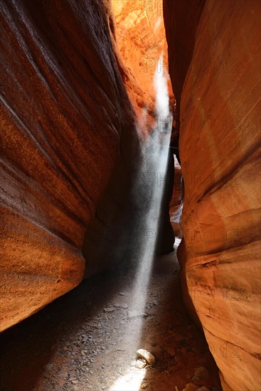 Sunrays illuminate dust flags in Peckaboo Canyon