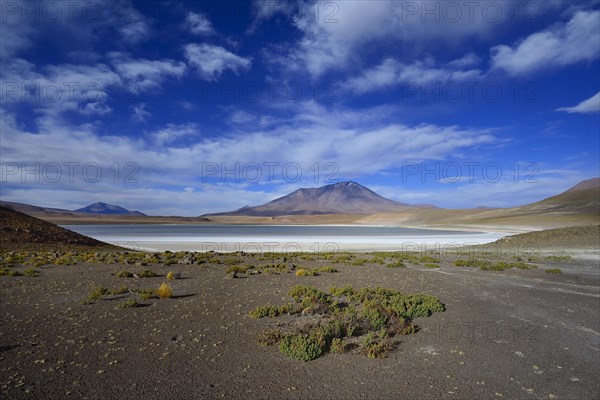 Typical landscape on the Laguna Hedionda