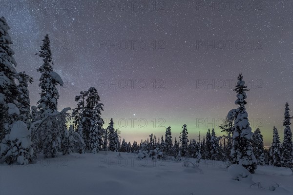 Starry sky with Milky Way and northern lights over snow-covered trees