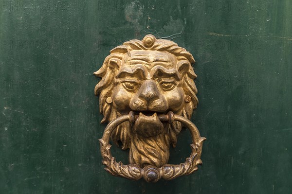 Door knocker