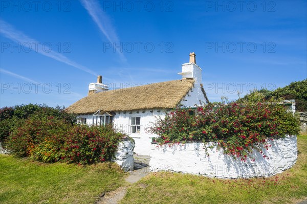 Living museum Cregneash village