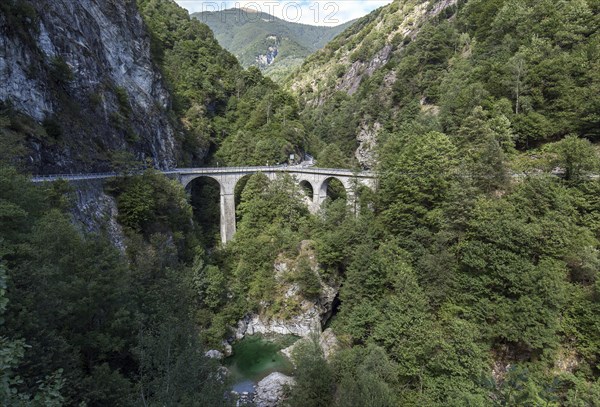 Bridge over the river Ribo