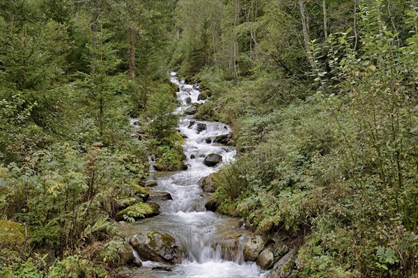Gartlbach