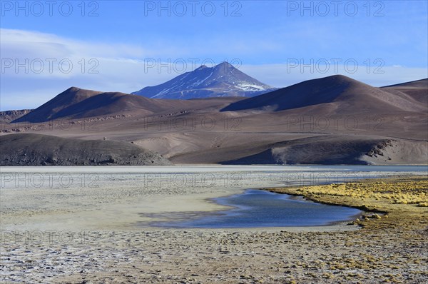 Laguna Santa Rosa with the volcanoes Nevado Ojos del Salado