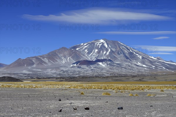 Volcano Incahuasi on the border to Chile
