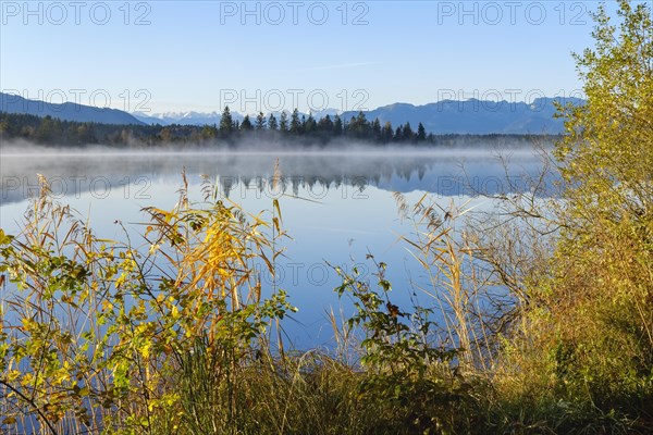 Early mist at Kirchsee