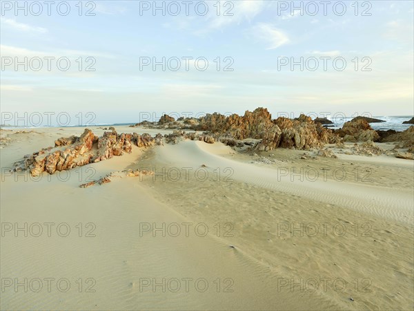 Rocky Beach Muffels Bay