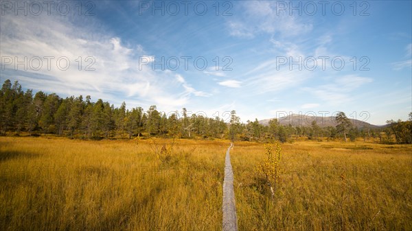 Hiking trail