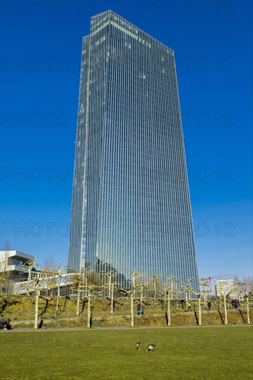 European Central Bank