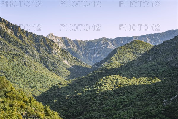 Wooded slopes