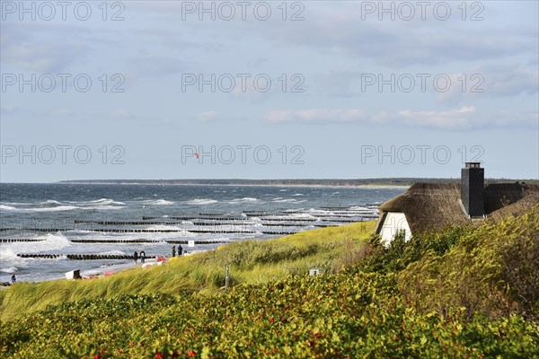 Groynes in the wavy sea