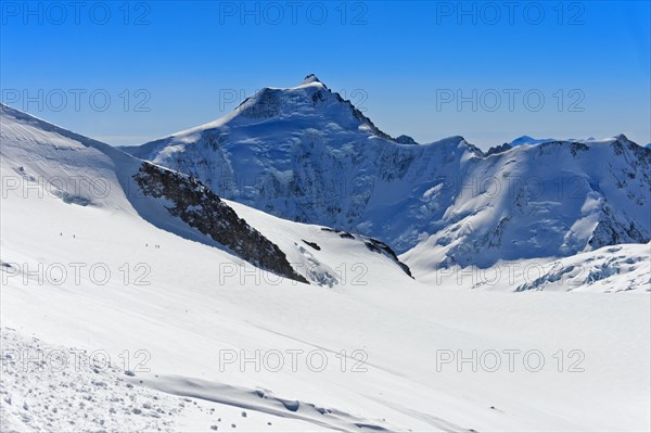 The snow-covered Aletschhorn