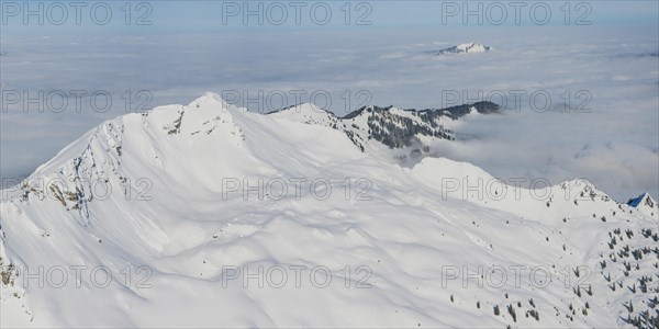 Panorama in winter
