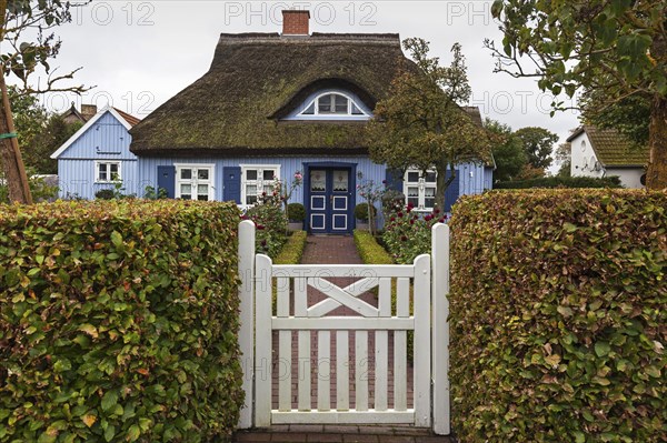 Typical blue thatched-roof house