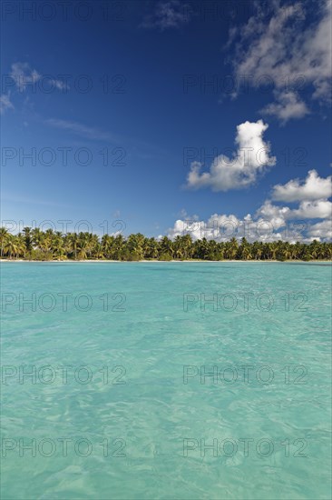Dream beach