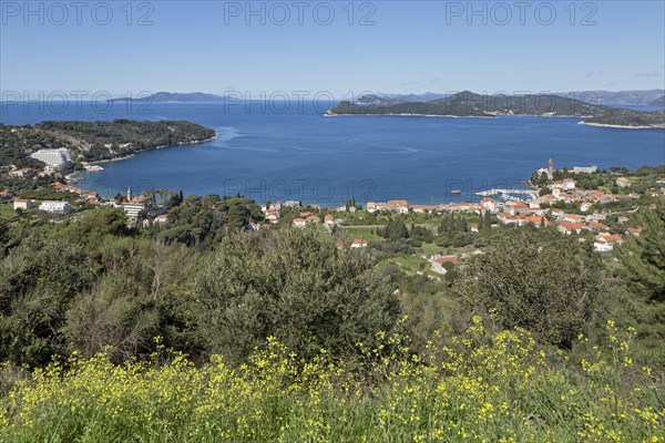 View from the island Lopud to the island Mljet