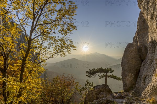Autumn landscape