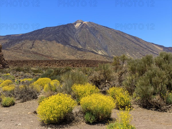 Volcano Pico del Teide