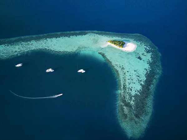 Uninhabited island for day trips with palm trees
