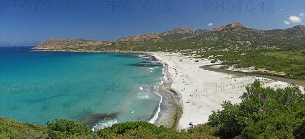 Turquoise-blue water on the sandy beach of Ostriconi