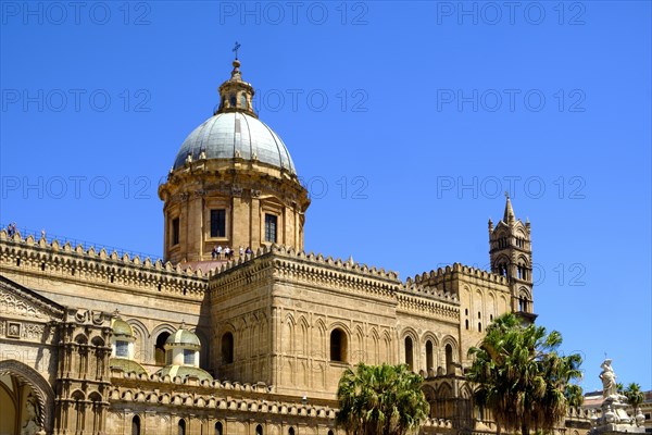 Cathedral of Palermo