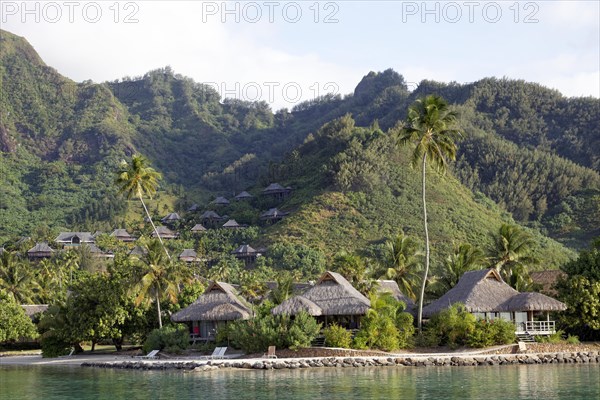 Bungalows by the sea with palm trees in front of green hills