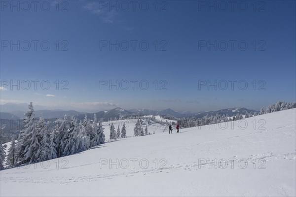 Ski mountaineers in a snowy landscape to Unterberg