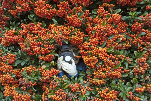 Paparazzi figure with a camera in Firethorn