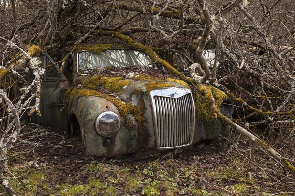 Oldtimer