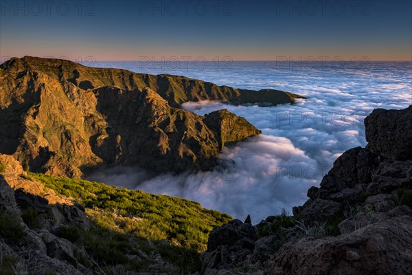 Sunrise with sea of mist