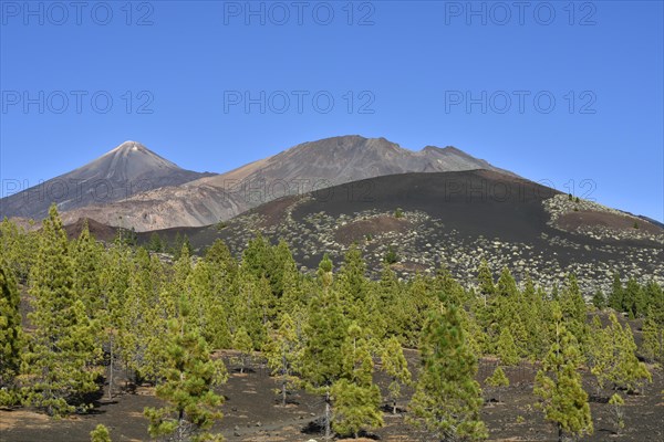 Pico del Teide and Pico Viejo
