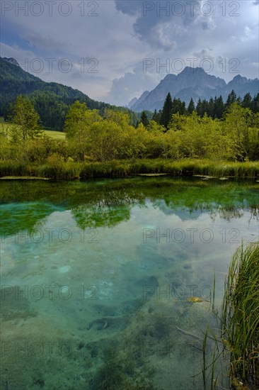 Sava Dolinka spring