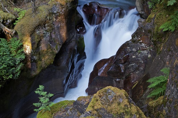 Wild creek