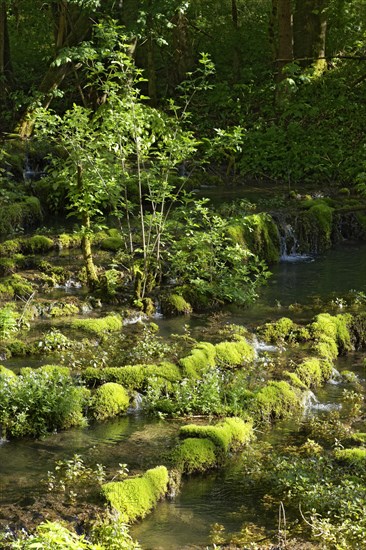 Travertine terraces