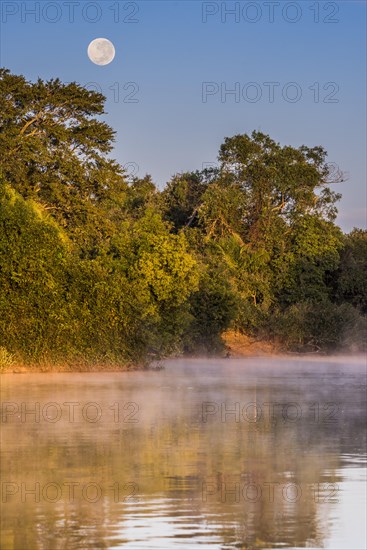 Full moon and morning fog at sunrise over the Rio Negro in the southern Pantanal