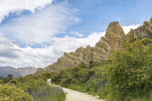 Clay Cliffs near Omarama