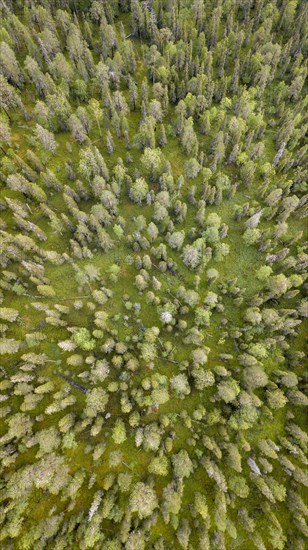 Drone shot