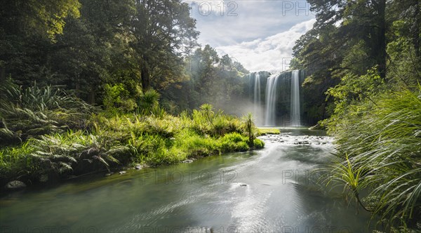 Whangarei Waterfall