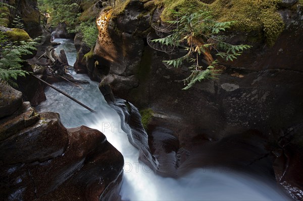 Wild creek