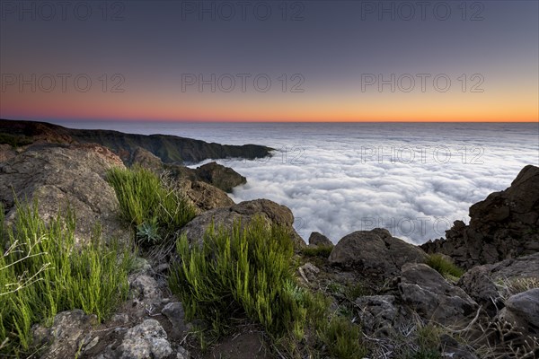 Sunrise with sea of mist