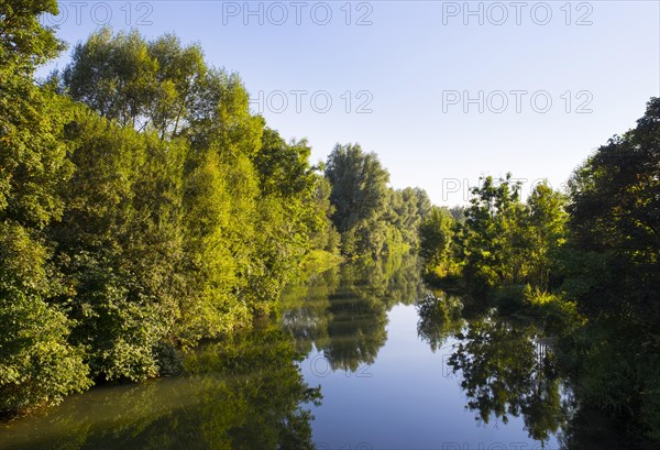 Altmuhl River with forest reflection