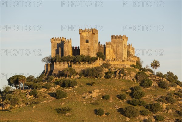 Castle of Almodovar del Rio