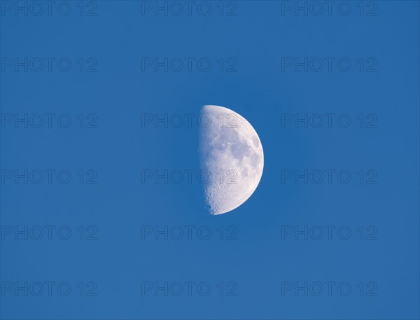Waxing moon