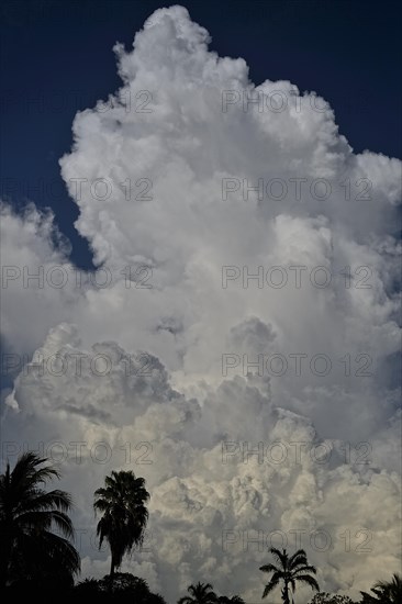 Clouds in the rainy season