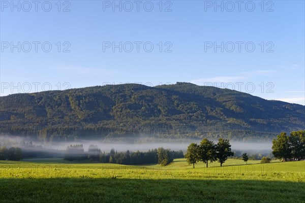 Sulzkopf