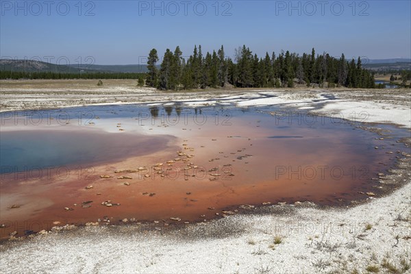 Opal Pool