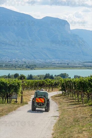 Vineyard vehicle for spraying between vines