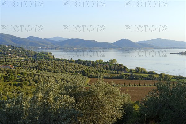 View on Lake Trasimeno